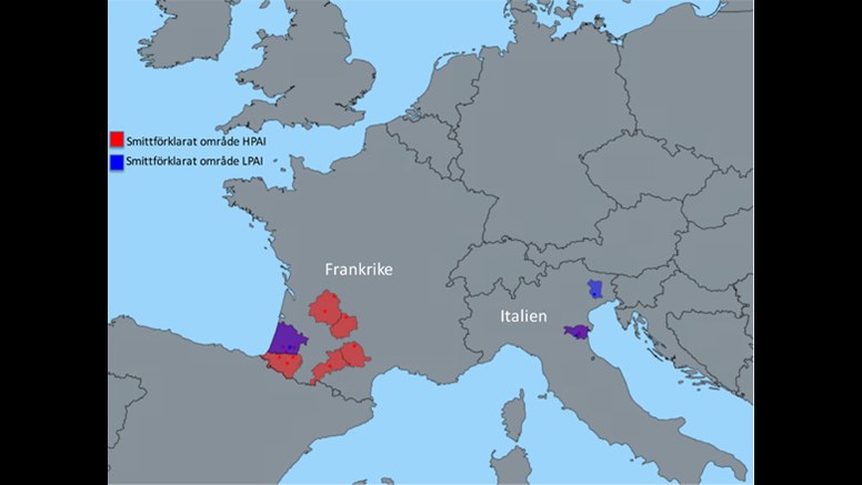 Smittkarta fågelinfluensa i Frankrike och Italien maj 2016.