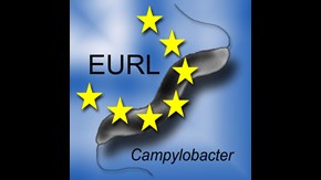 illustration med en campylobacter, stjärnor och EURL-texten.