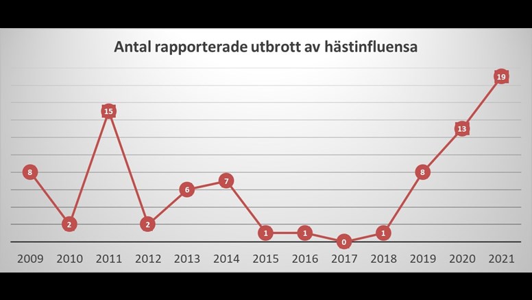 Graf med rapporterade fall av hästinfluensa 2009-2019.