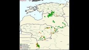 Smittkarta: utbredning av afrikansk svinpest i Östeuropa och Baltikum maj 2015.
