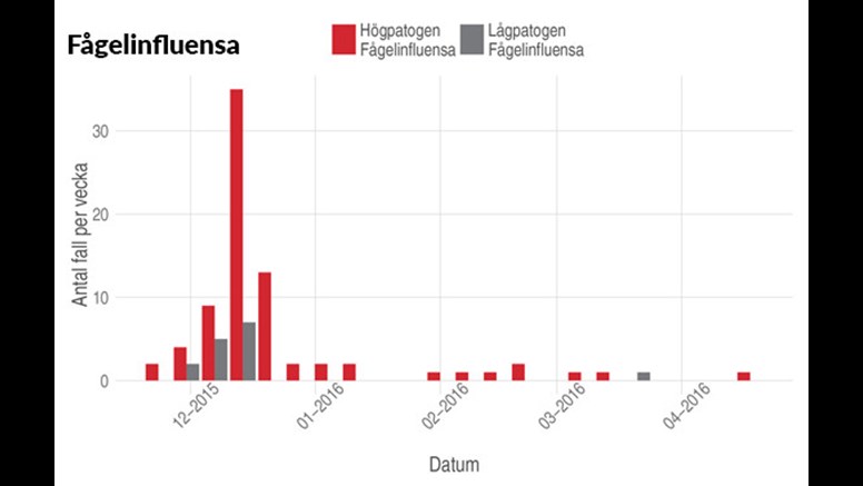 Stapeldiagram över antal fall med fågelinfluensa, AI, maj 2016.