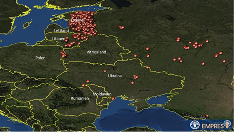 Smittkarta som visar rapporterade fall av afrikansk svinpest. 