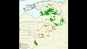 Karta med översikt av utbrott av afrikansk svinpest på vildsvin och gris i Baltikum 2015. 