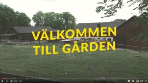 Skärmdump från filmen Djuren på gården