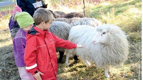 Skylt med besöksregler för djurgård