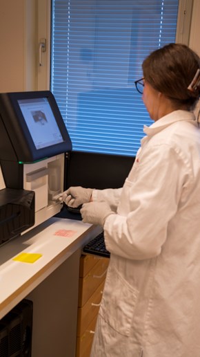 Forskare med ett prov i handen arbetar med pcr-diagnostik.