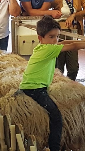 En pojke sitter på ett får