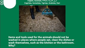 Skärmdump från tipspromenad om djurfoder