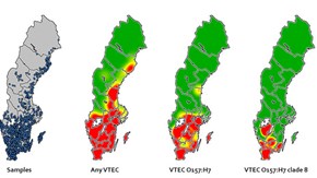 VTEC distribution map in Sweden, based on data from 2011-2012. Illustration: Robert Söderlund, Tomas Jinnerot, SVA.
